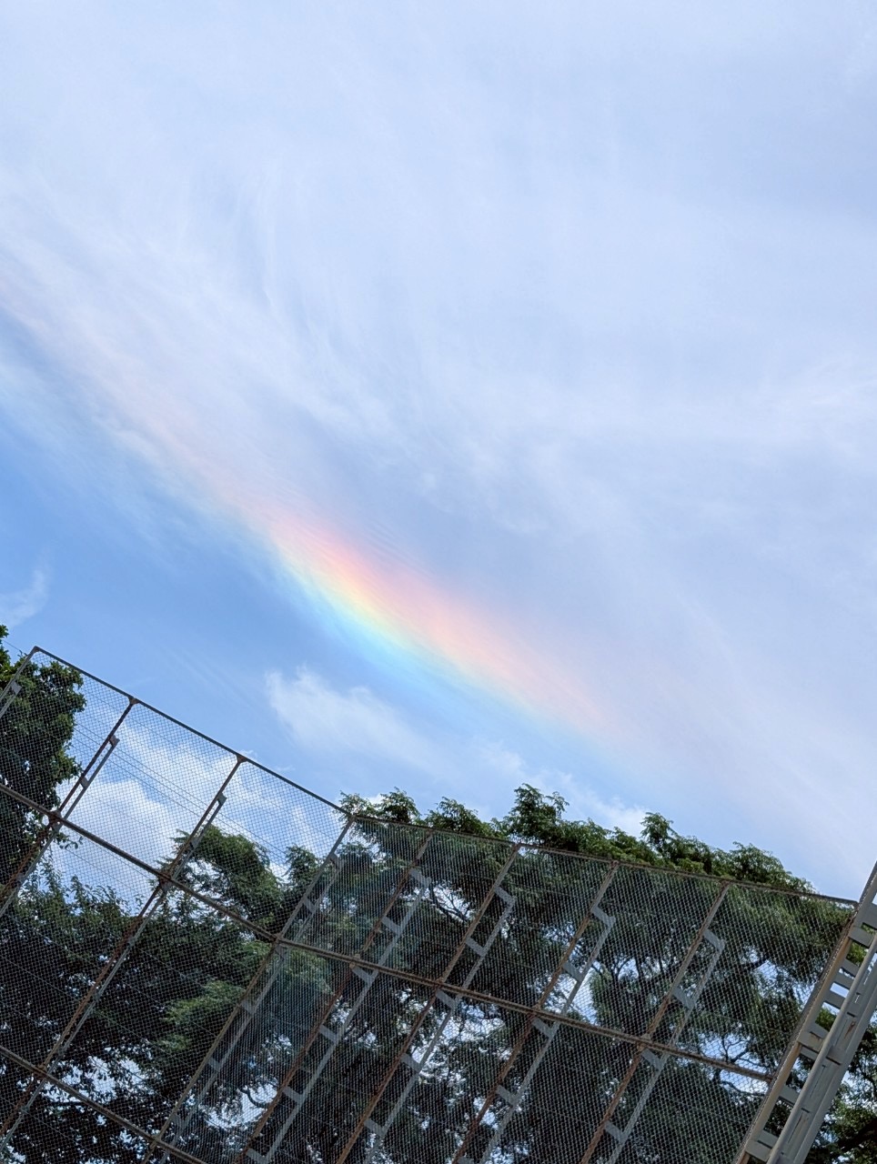 長いようで短い1年間